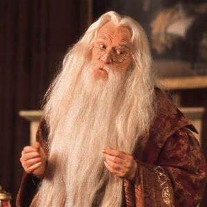 Team Page: Dumbledorks